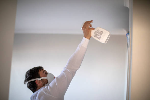 Best Water Damage Restoration  in Wheaton, MN